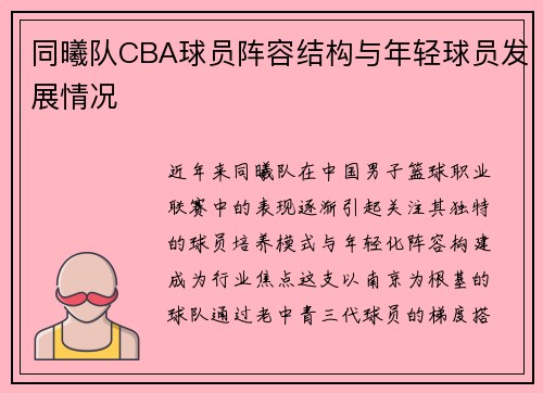 同曦队CBA球员阵容结构与年轻球员发展情况
