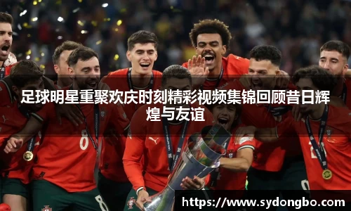 星空综合股份(中国)